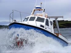  FM Deltastar Pro Fisherman 33